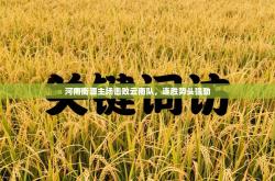 河南衡源主场击败云南队，连胜势头强劲