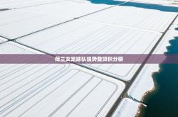 荷兰女足球队强势登顶积分榜