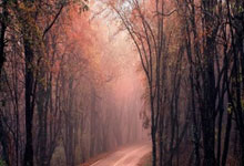 利物浦门将出色表现，多次救险力保球队胜利