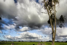 门兴格拉德巴赫对决尼斯：一场足球盛宴