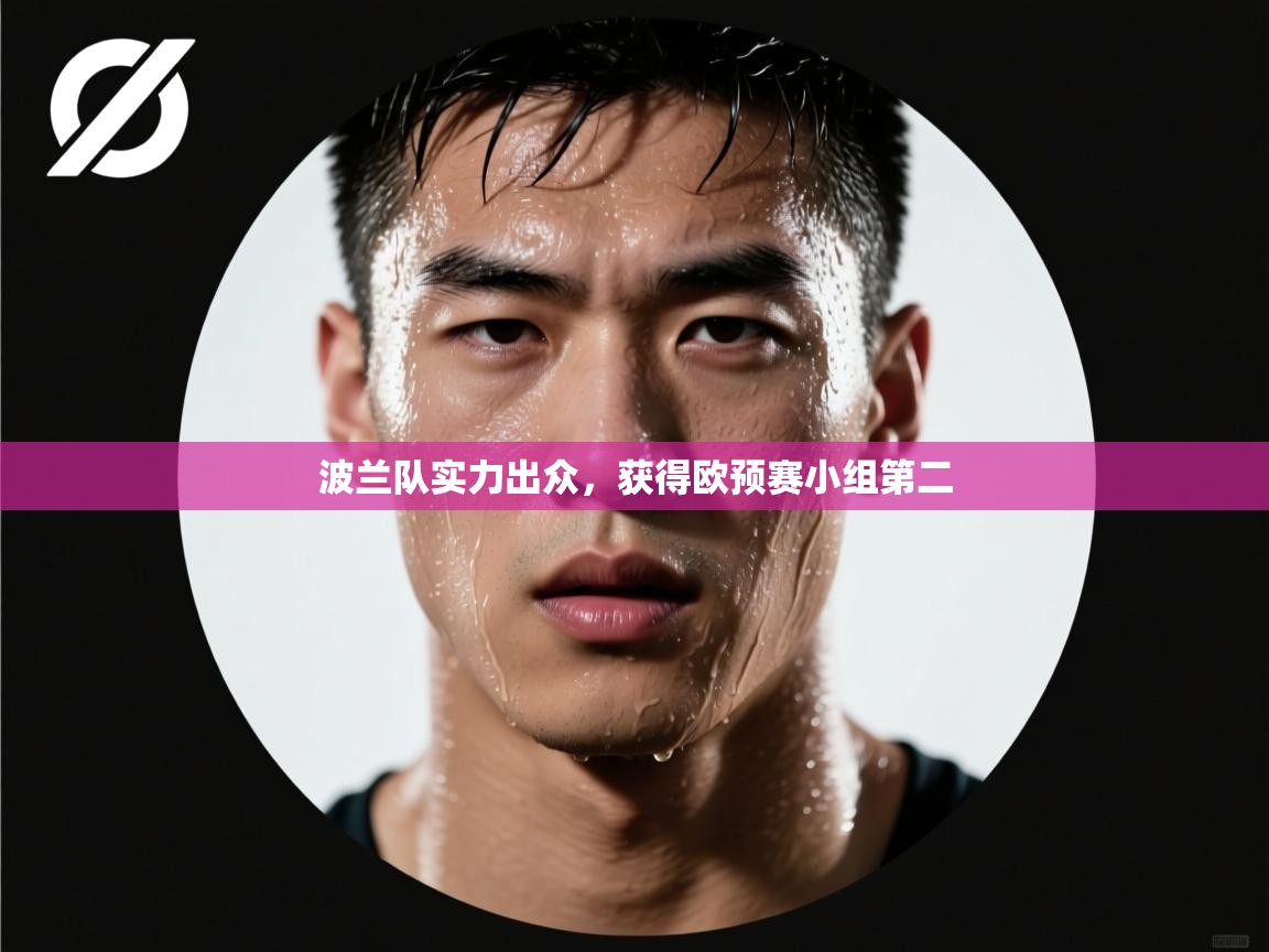 波兰队实力出众，获得欧预赛小组第二  第1张